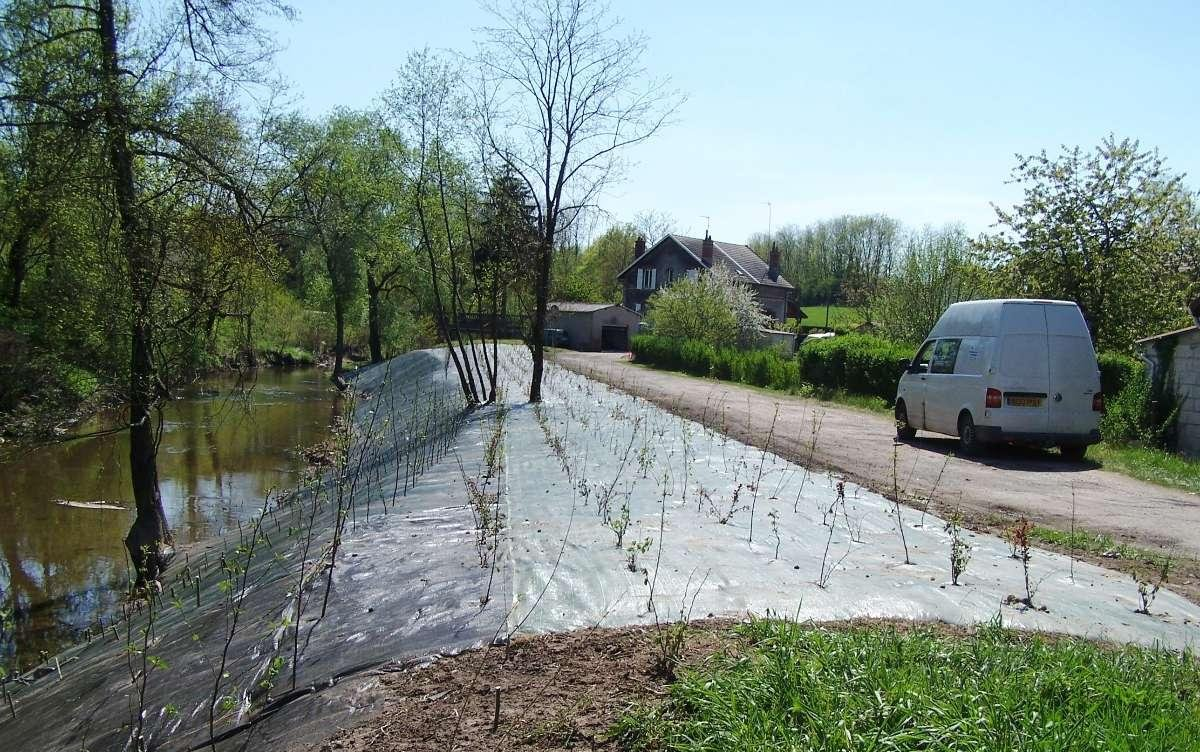 Entretien des abords