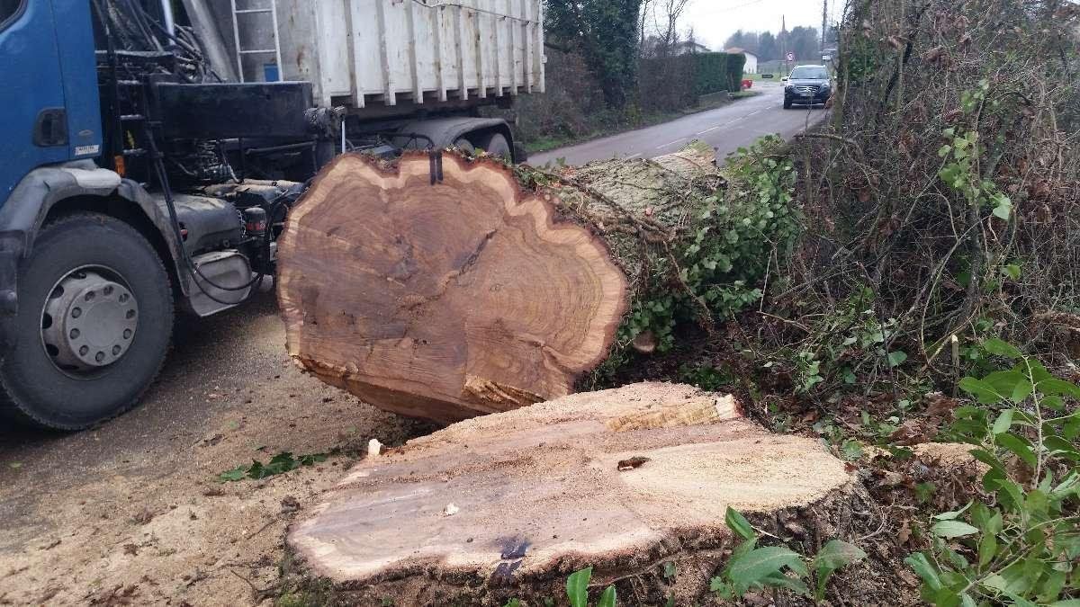 Revalorisation des déchets verts