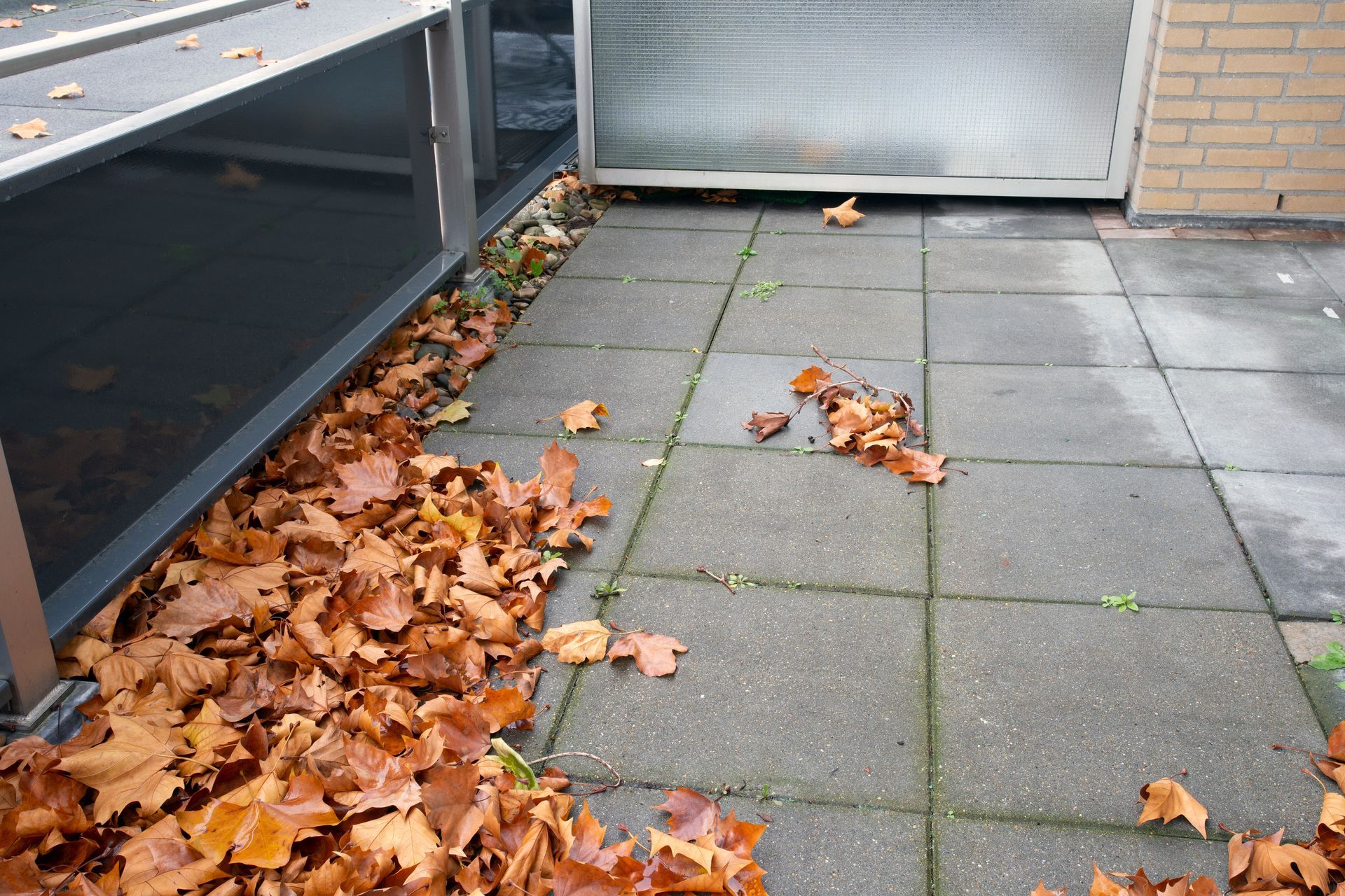 Sol extérieur avec carrelage et feuilles d'automne