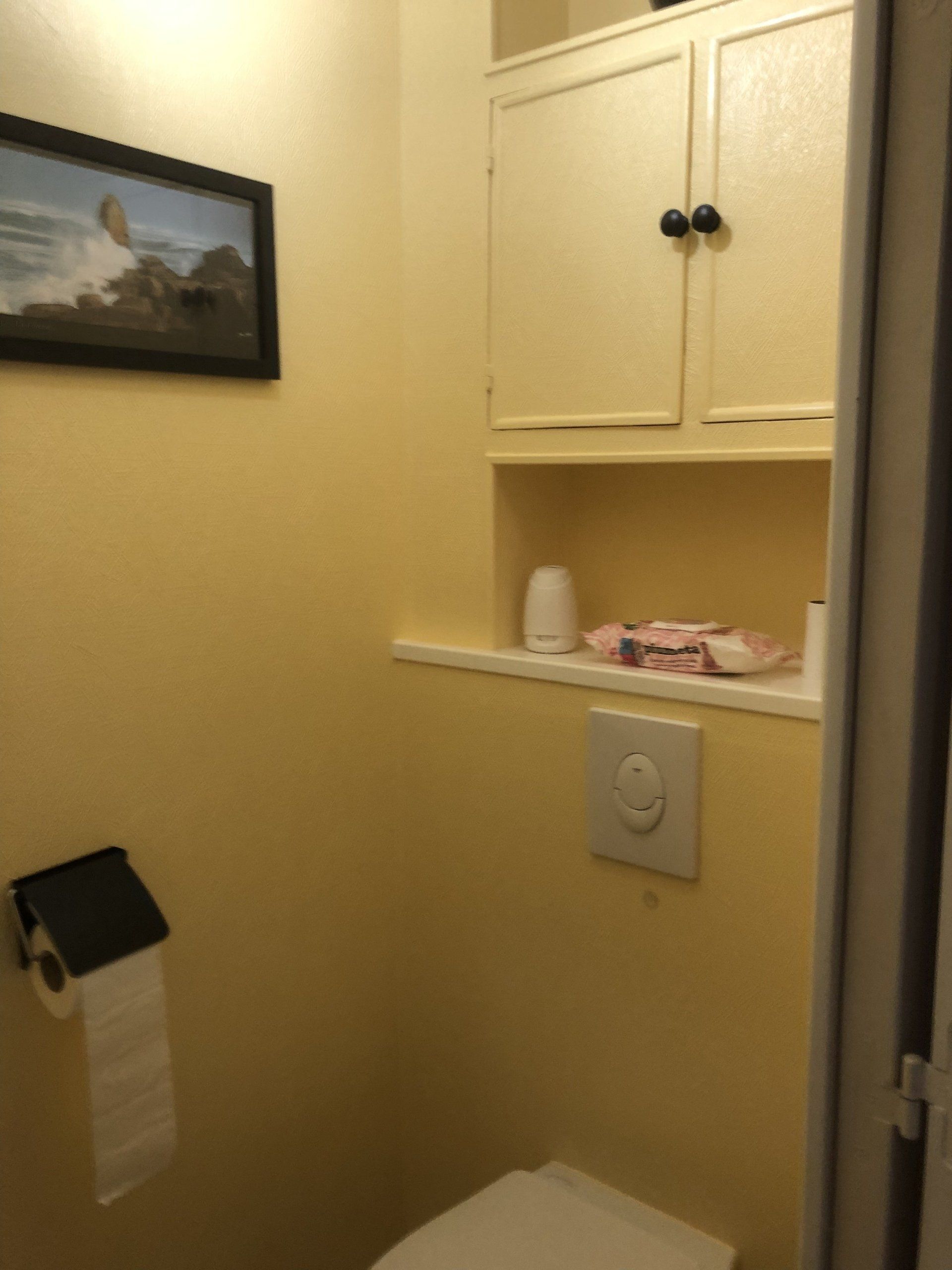 Toilettes murs jaunes