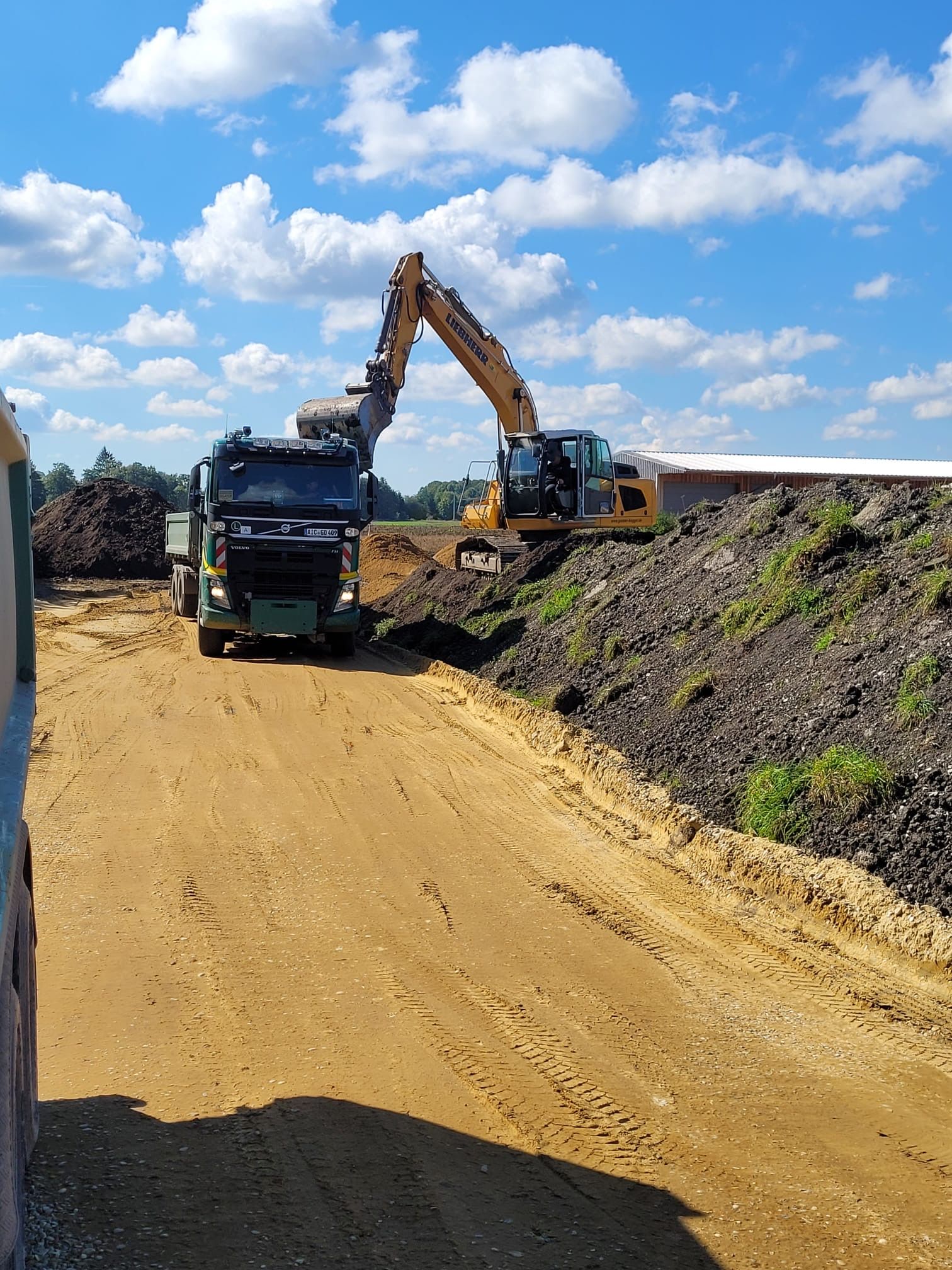 Bagger belädt Transporter