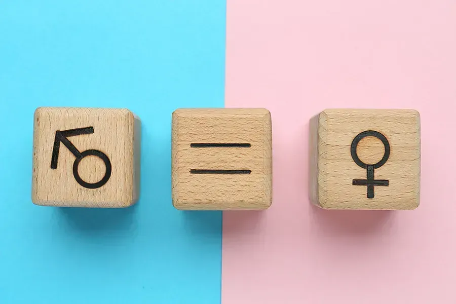 Tres bloques de madera sobre un fondo azul y rosa: un símbolo masculino, un signo igual y un símbolo femenino.