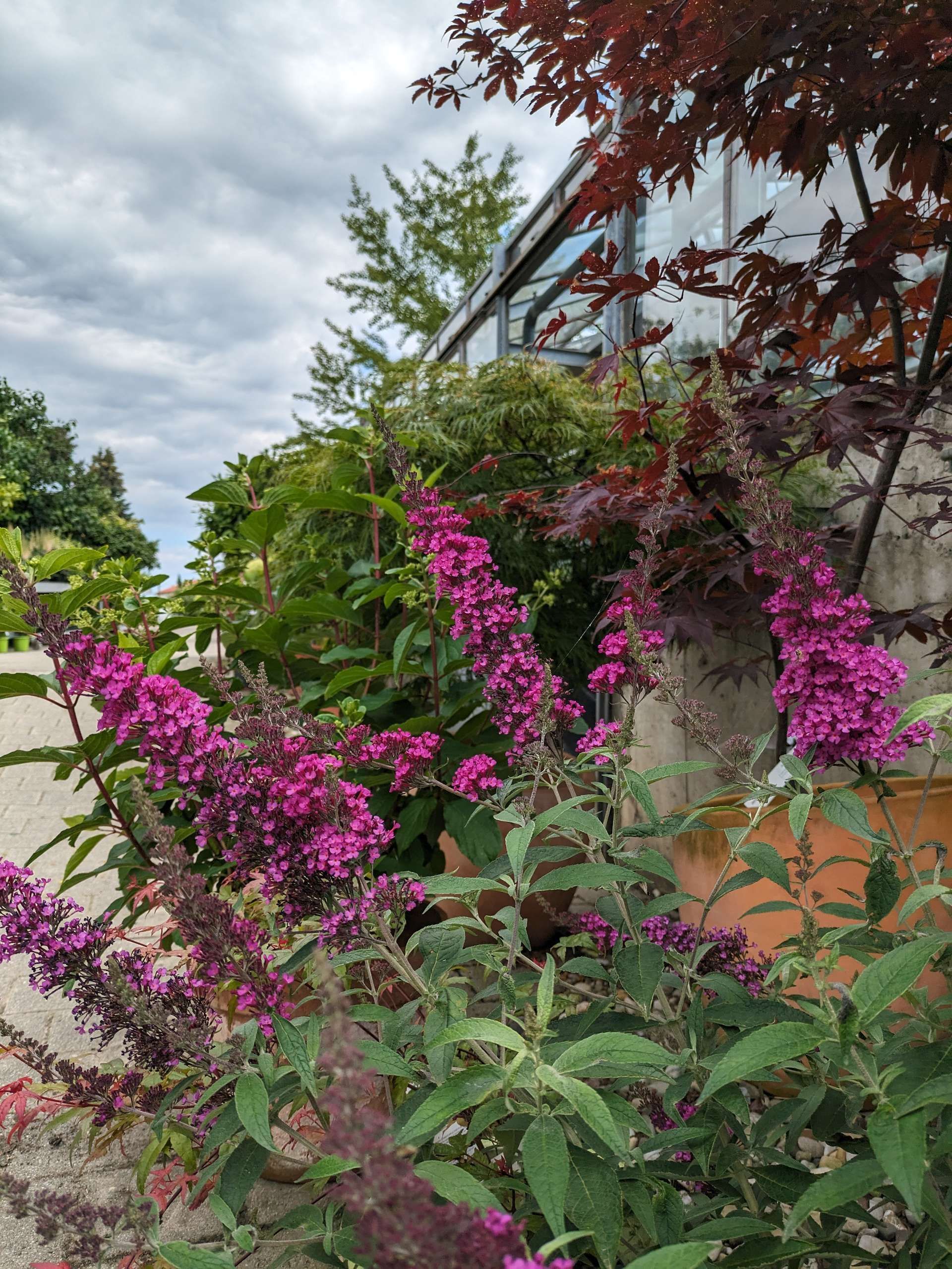 Gartenanlage Gartenanlage mit Bäumen und Gebäude im Hintergrund