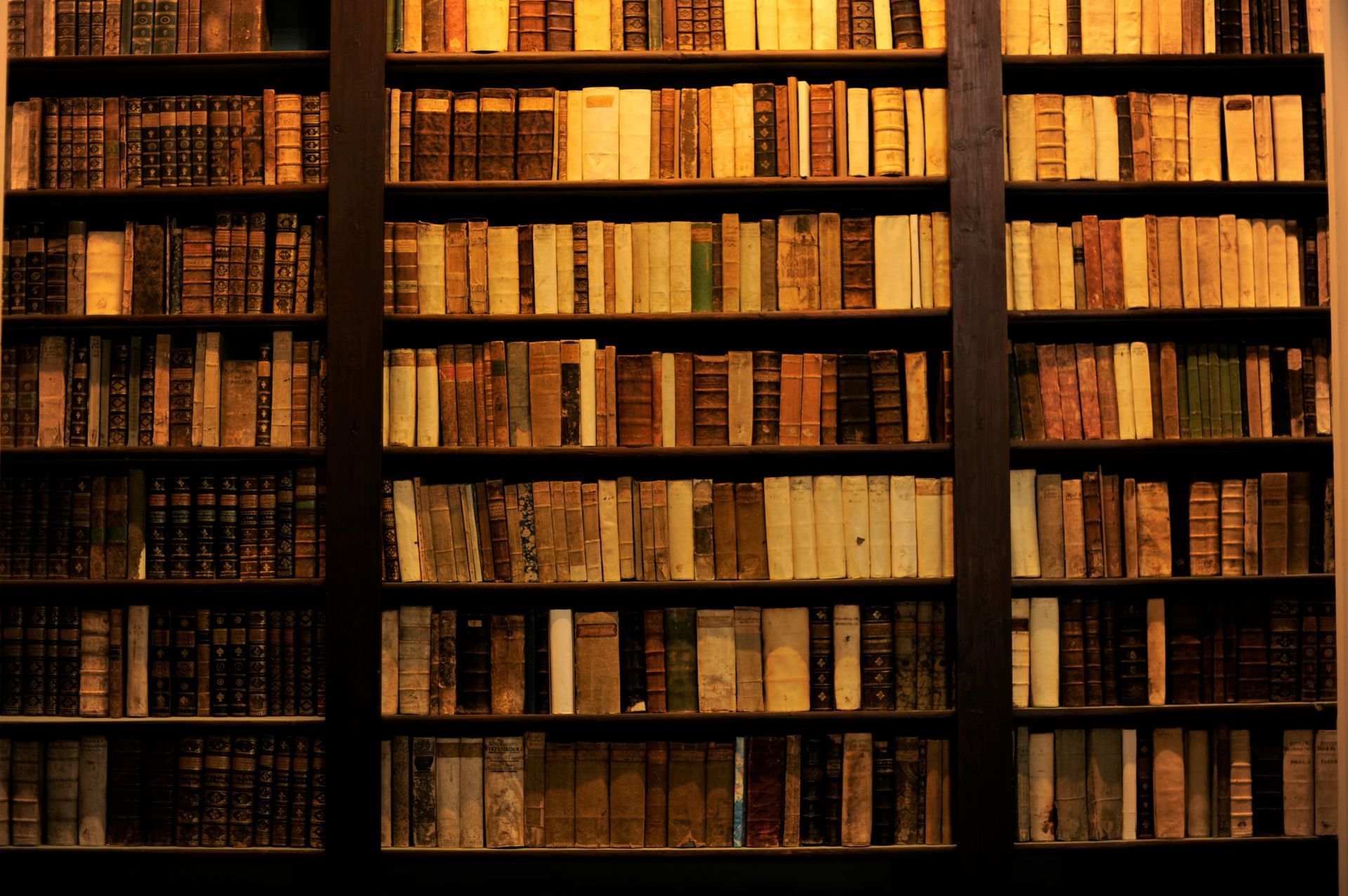 Une bibliothèque de livres