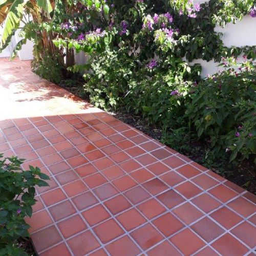 Allée carrelée de carreaux rouges bordée de buissons verdoyants et de fleurs violettes baignées d'un soleil éclatant