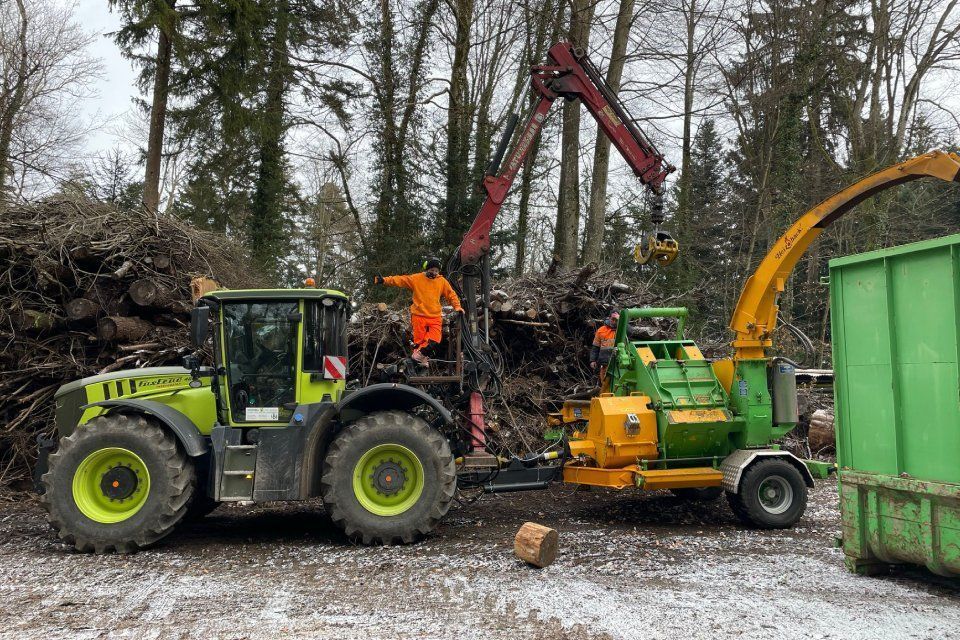 Entsorgung von Grünabfall durch Vontobel Forst und Gartenbau