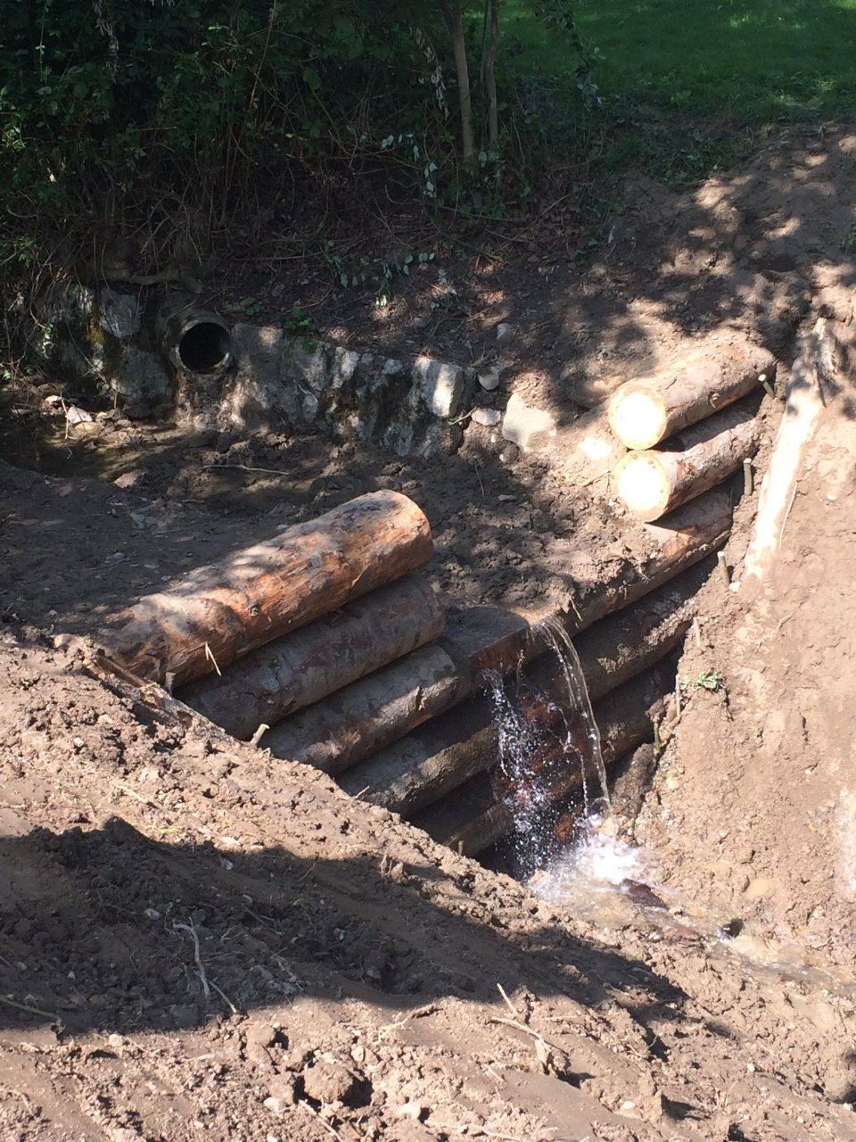 Garten- & Tiefbau | Dielsdorf | Vontobel Forst und Gartenbau GmbH