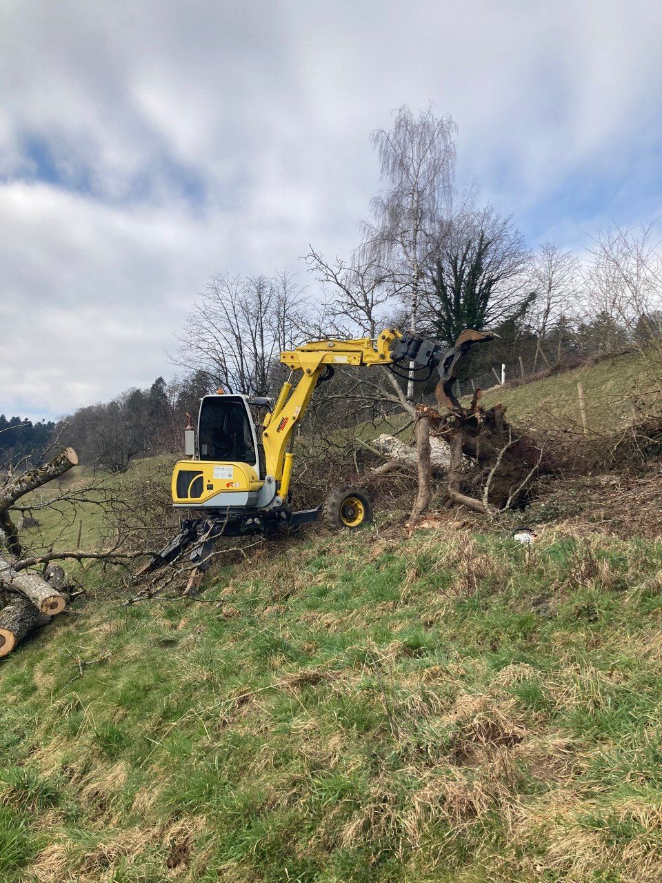 Garten- & Tiefbau | Dielsdorf | Vontobel Forst und Gartenbau GmbH