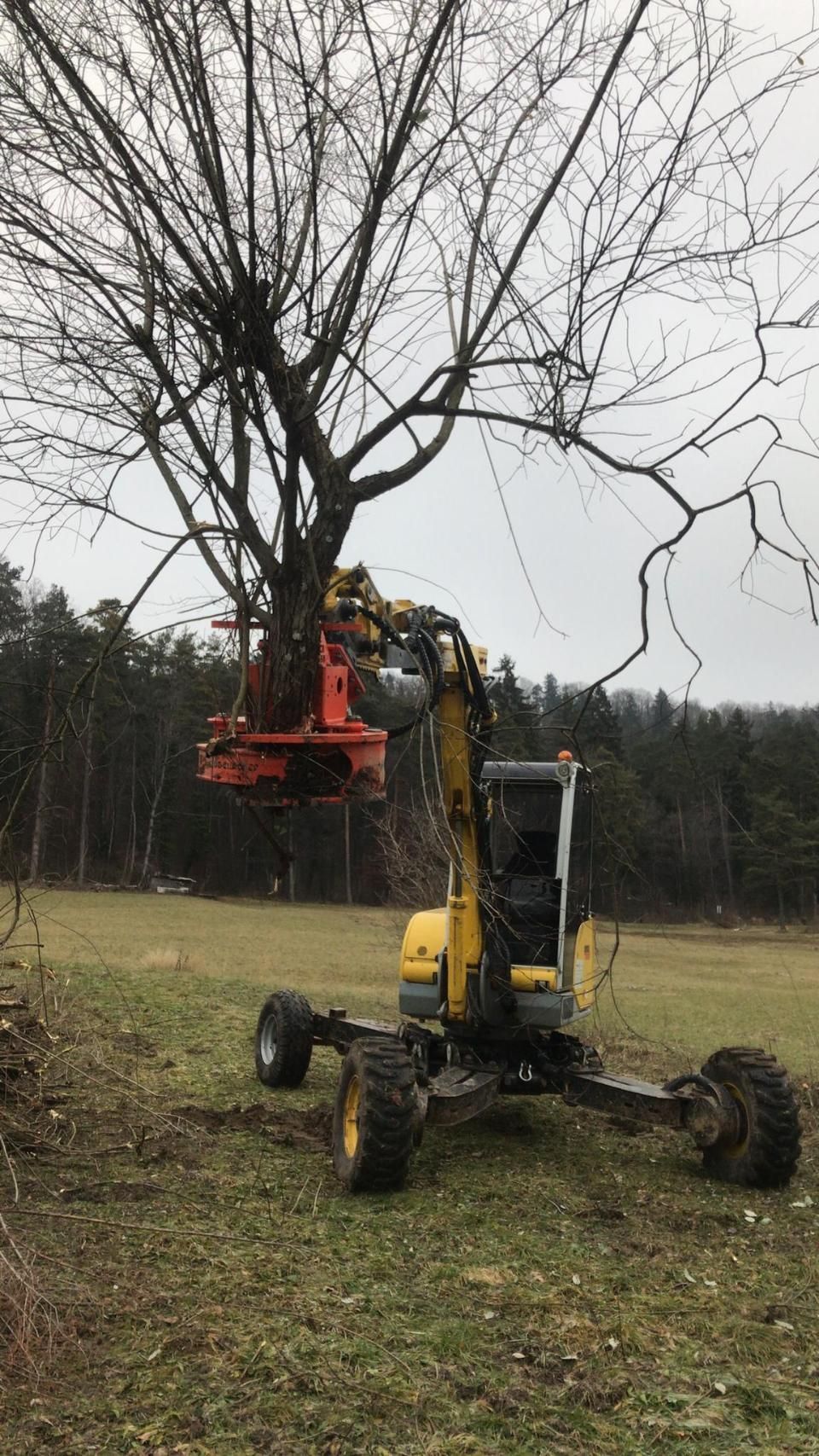 Forstarbeiten durch Vontobel Forst und Gartenbau