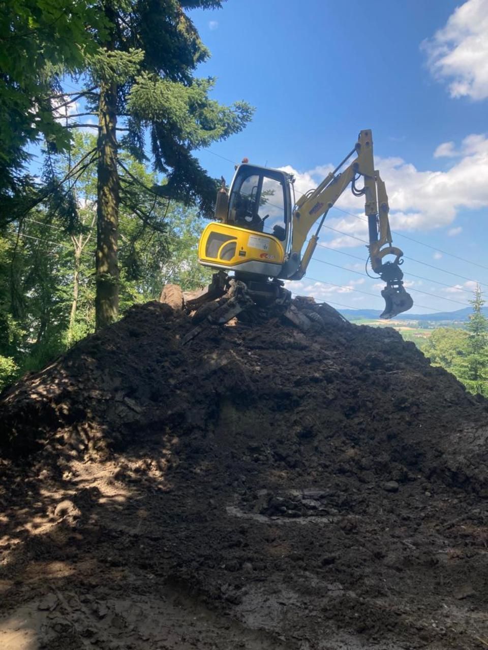 Rodungsarbeiten im Wald durch Vontobel Forst und Gartenbau