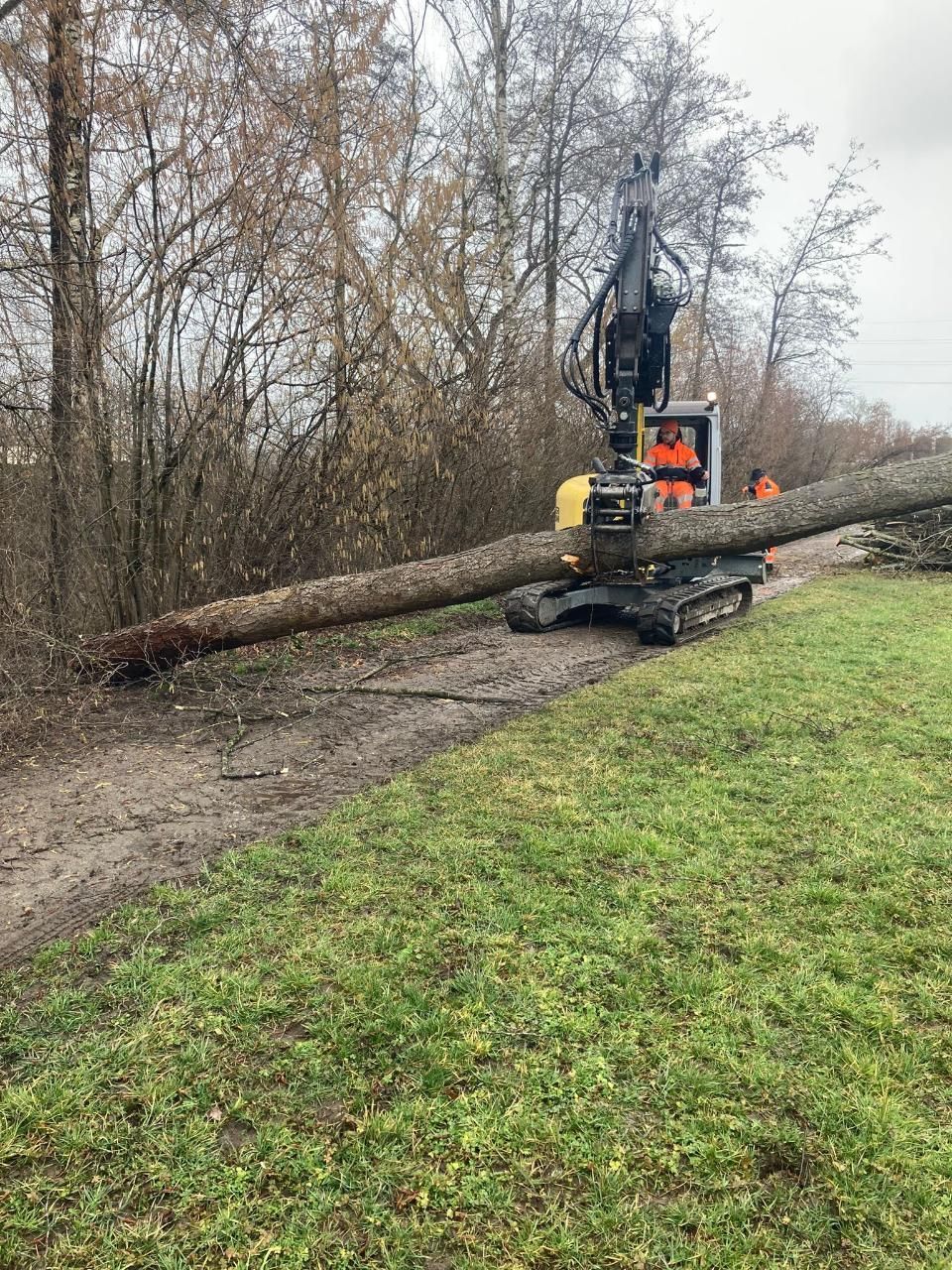 Garten- & Tiefbau | Dielsdorf | Vontobel Forst und Gartenbau GmbH