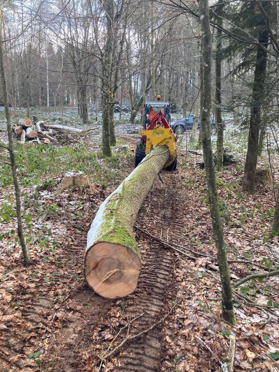 Garten- & Tiefbau | Dielsdorf | Vontobel Forst und Gartenbau GmbH
