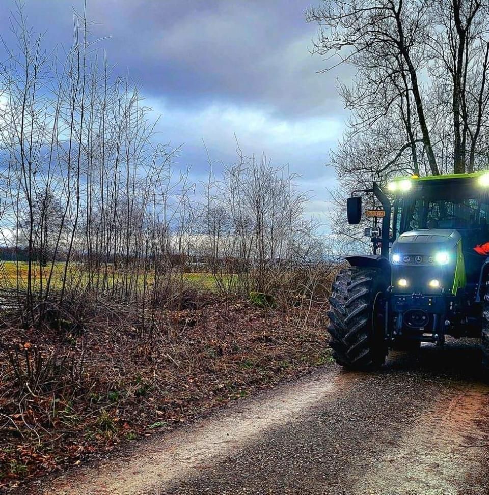 Garten- & Tiefbau | Dielsdorf | Vontobel Forst und Gartenbau GmbH