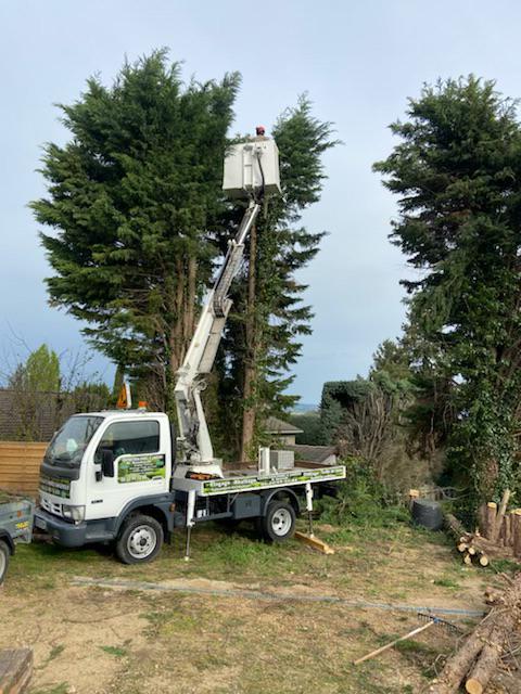 Travaux en hauteur sur un arbre pour la coupe des branches grâce à un camion équipé d'une nacelle