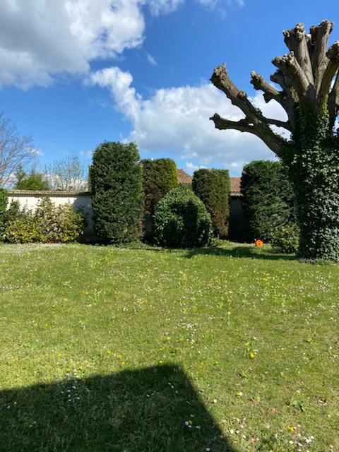 Vue d'un jardin soignée avec pelouse, arbre à droite, bosquets et haies au fond, taillés