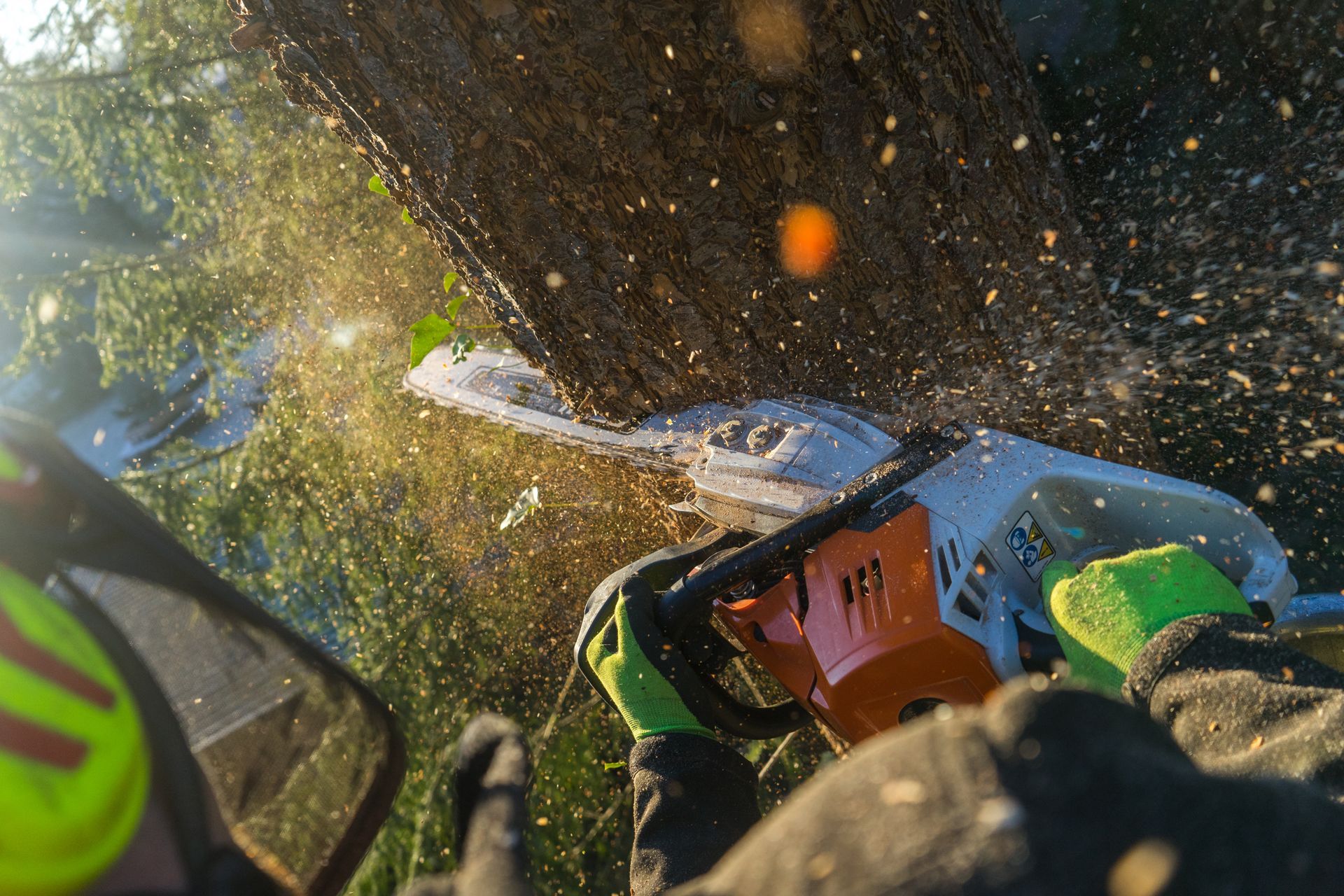 La découpe d'un tronc d'arbre à l'aide d'une tronçonneuse par un opérateur ganté et portant un casque de professionnel