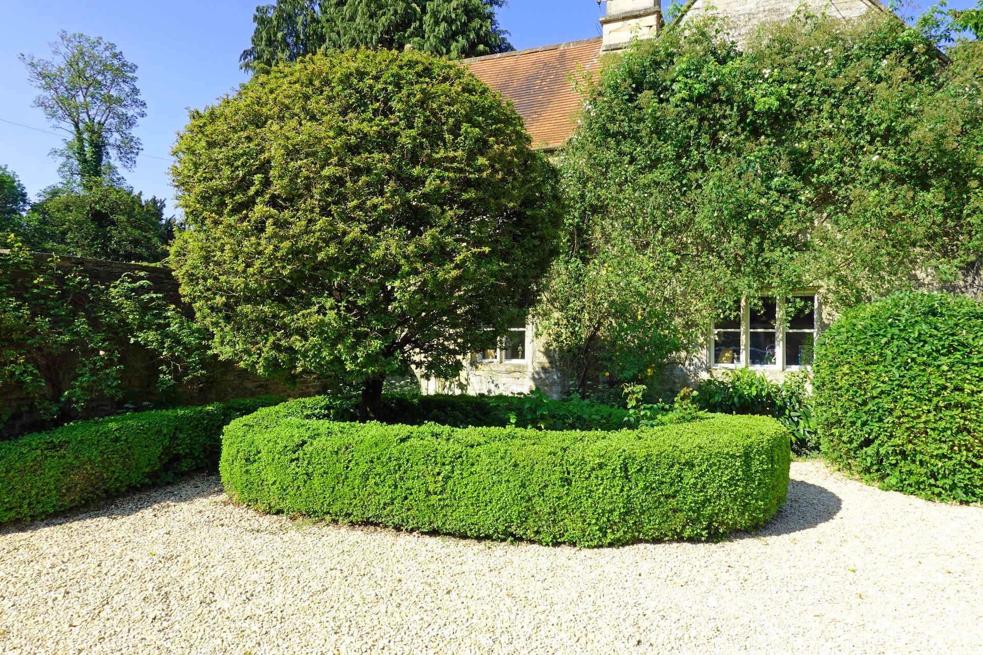 Exemple de taille d'arbuste avec une haie impeccable entourant un arbre au feuillage soigné