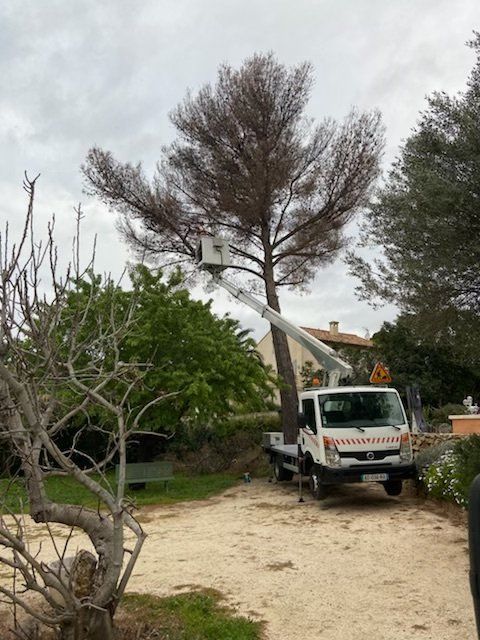 Un camion grue à droite qui dispose d'une naceelle avec laquelle notre élagueur intervient dans un arbre au centre