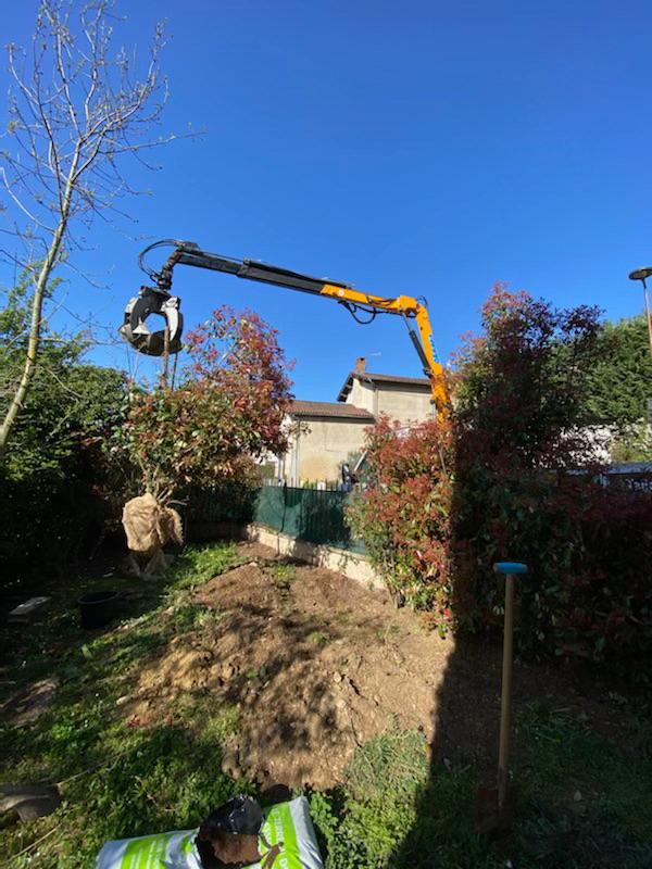 utilisation d'une grue de levage pour retirer dans un jardin clôturé un arbre déraciné sans danger