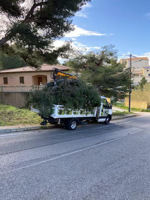 Notre véhicule d'intervention en train d'évacuer un tas important de branches d'un arbre élagué