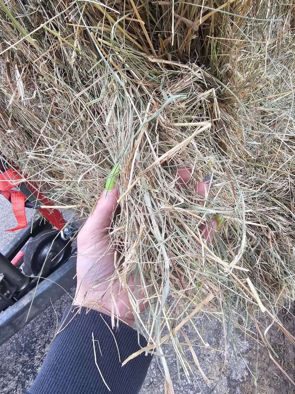 Heu und Stroh Handel Müller