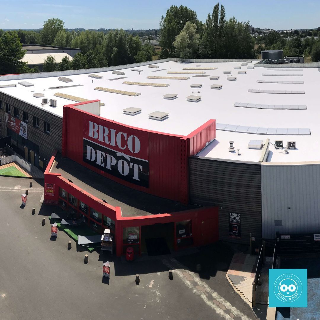 Vue extérieure d'un magasin Brico Depot, bâtiment rouge et gris avec une grande enseigne et une entrée. Belle journée ensoleillée.