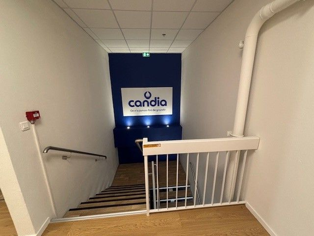 Escalier descendant vers un mur bleu marine orné du logo Candia, avec une rampe blanche.