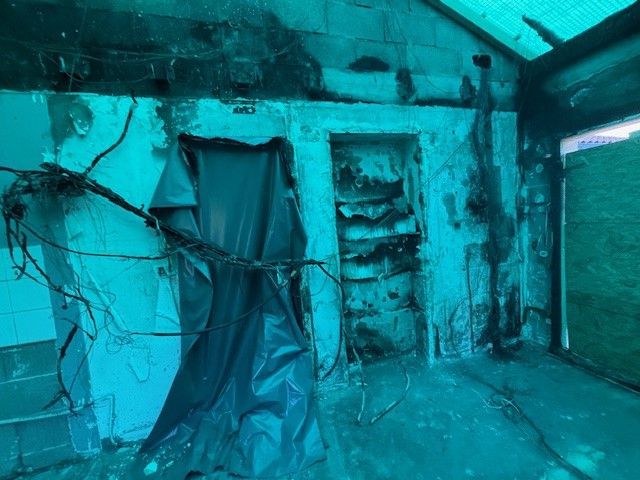 Vue intérieure d'un bâtiment endommagé et délabré, avec des murs apparents, des vignes et une porte sombre.