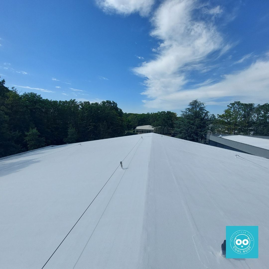 Toit blanc sous un ciel bleu éclatant parsemé de nuages, arbres en arrière-plan.