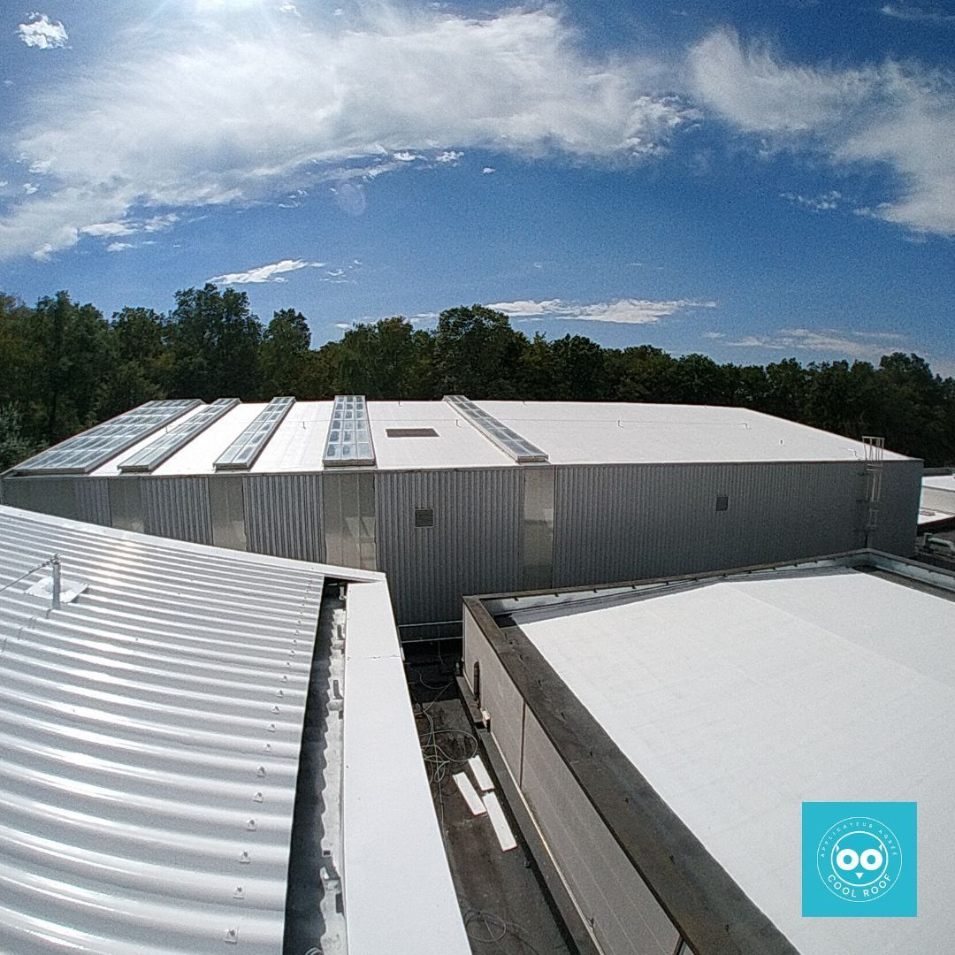 Toit d'immeuble recouvert de panneaux solaires, tôle ondulée blanche, ciel dégagé avec quelques nuages, arbres en arrière-plan.