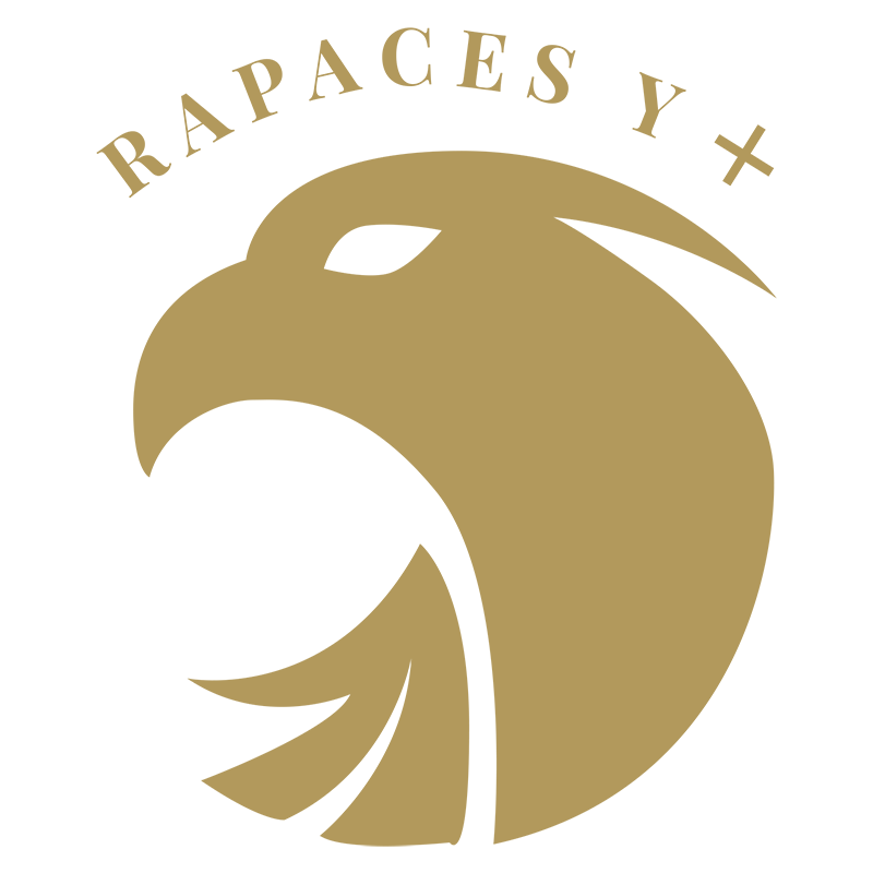 logotipo cabecera