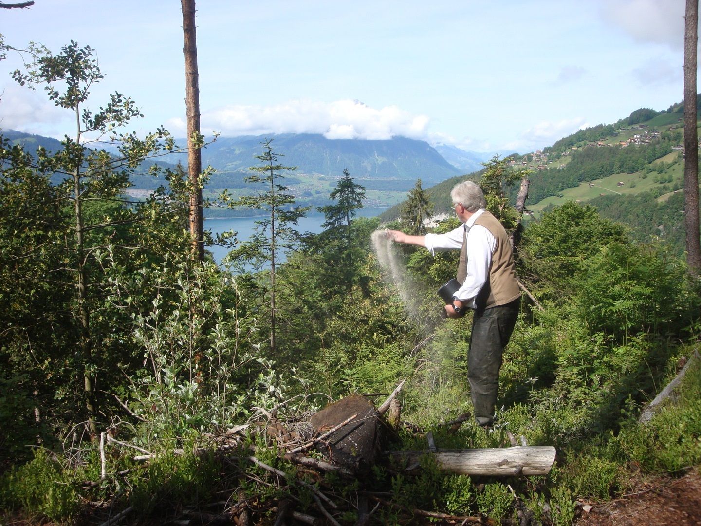 Ein Mann verstreut Asche auf einer Almwiese
