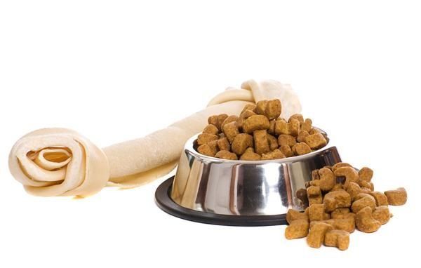 Un tazón de comida para perro y un hueso sobre un fondo blanco.