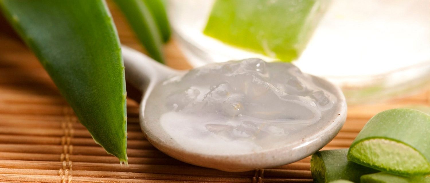 Una cuchara llena de gel de aloe vera al lado de una planta.
