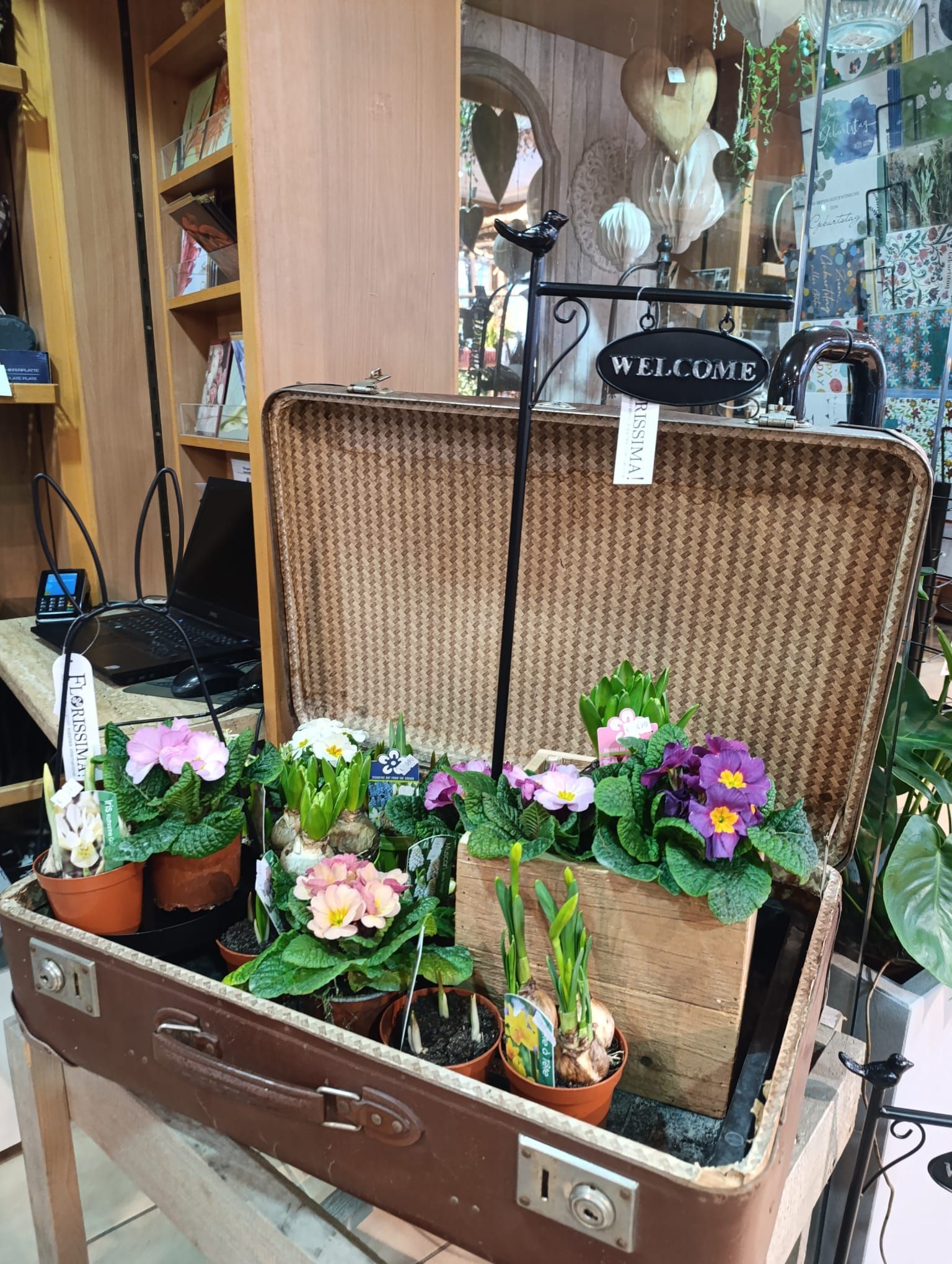 Auf einem Tisch steht ein Koffer voller Topfpflanzen.