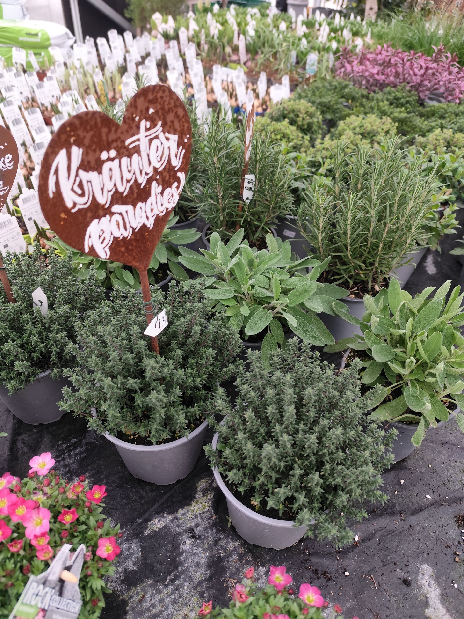 Ein Haufen Topfpflanzen mit einem herzförmigen Schild in der Mitte.