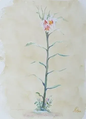 Una pintura de acuarela de una flor sobre un fondo blanco.