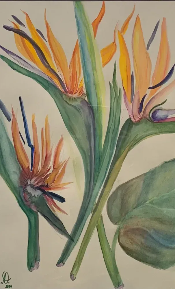 Una pintura de acuarela de una flor de ave del paraíso