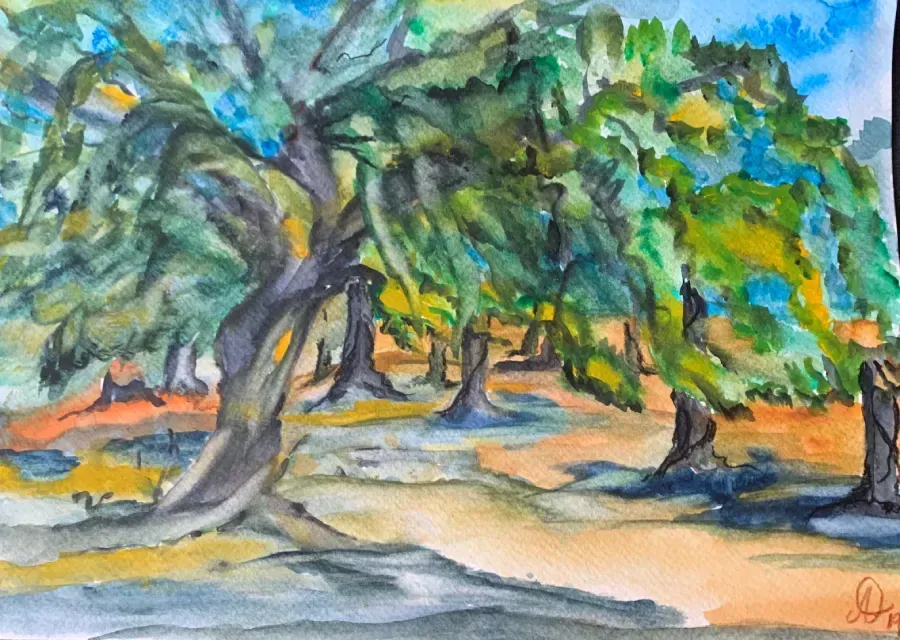 Una pintura de acuarela de una hilera de olivos en un campo.