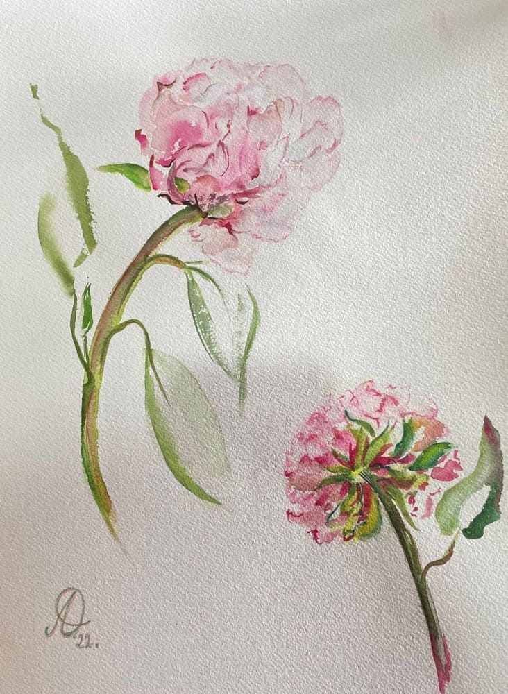 288 Vaporosas 
(Acuarela - 26x36 cm)