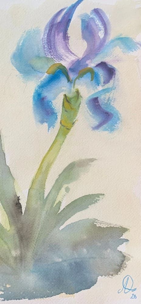 237 Azulea 
(Acuarela - 16x35 cm)