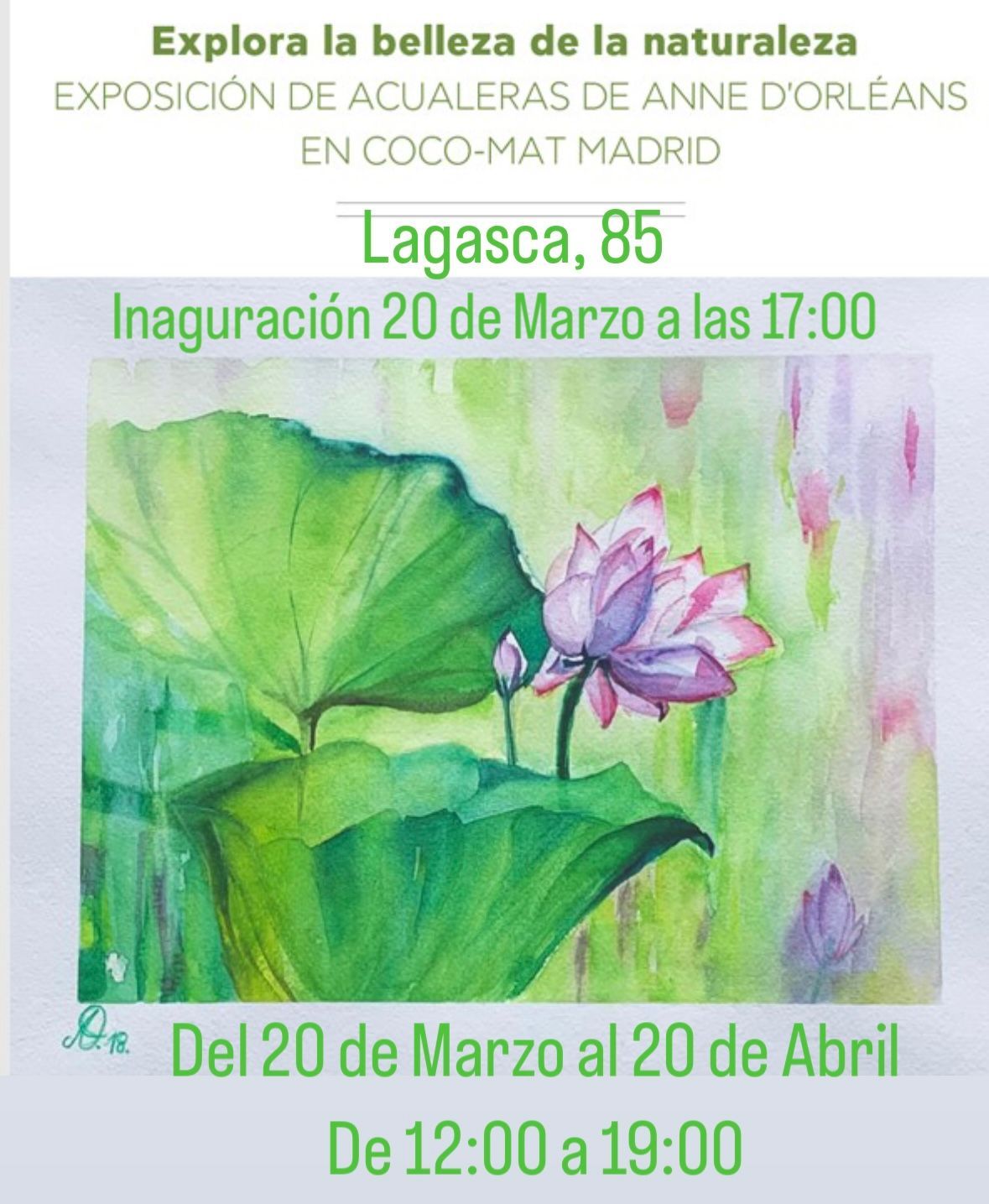 Un anuncio de una pintura de una flor de loto.