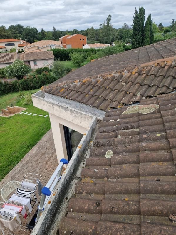 Toit-terrasse aux tuiles usées et une échelle à côté d'une maison, donnant sur un quartier résidentiel verdoyant