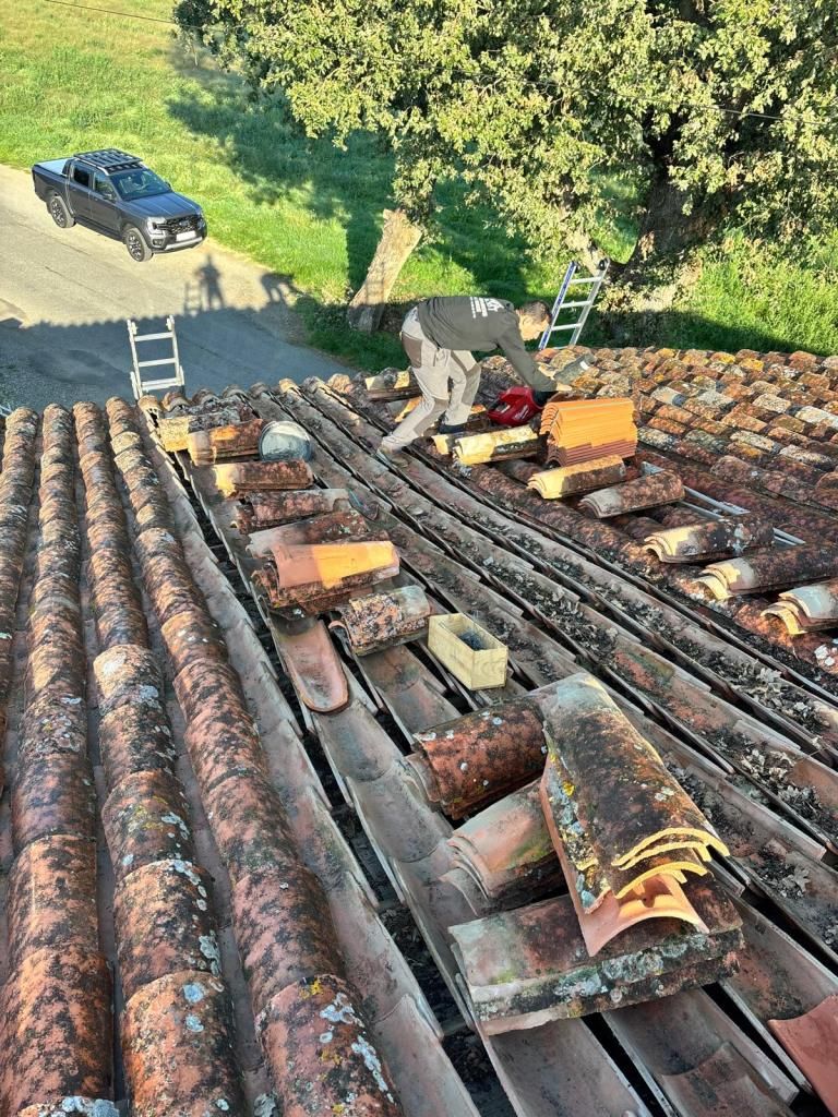 Toit en tôle ondulée rouillée avec outils et briques ; échelle et voiture bleue en contrebas, près des arbres