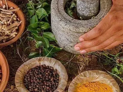 Una persona está moliendo especias en un mortero.