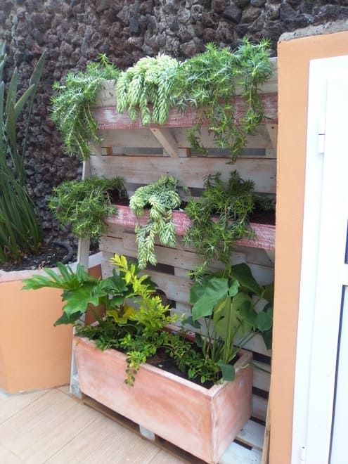 Macetero de madera escalonado con exuberantes plantas verdes y enredaderas en un patio, junto a una pared naranja.