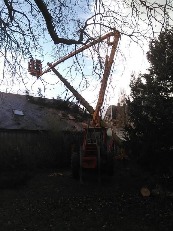 Dégagement d'un arbre tombé suite à une tempête