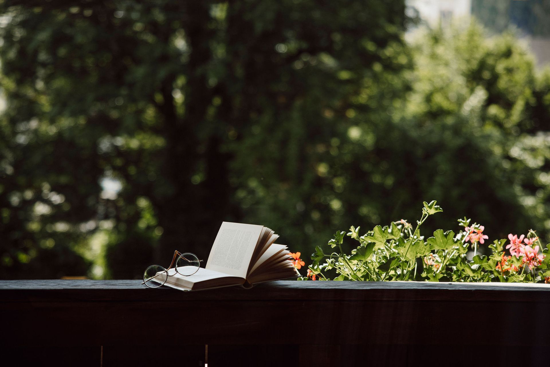 Ein offenes Buch liegt neben Blumen auf einem Balkon.