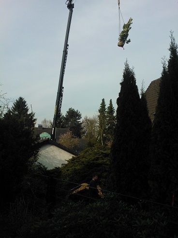 GARTENZEIT GmbH Gartenbauprojekt