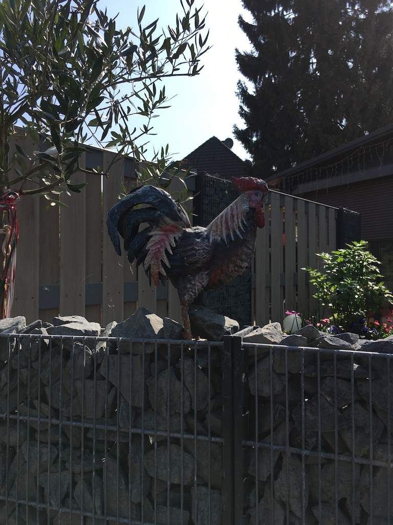 GARTENZEIT GmbH Gartenbauprojekt Hausgarten